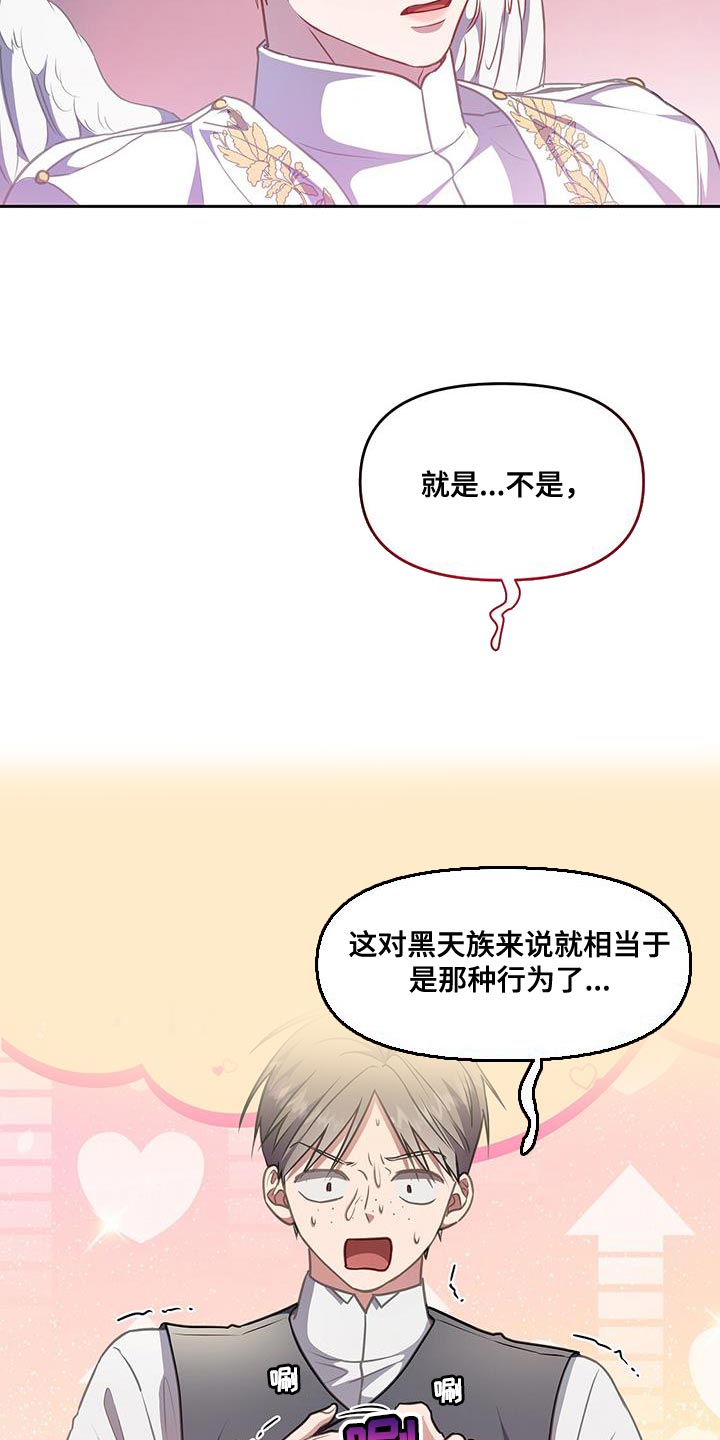 第50章：翅膀17
