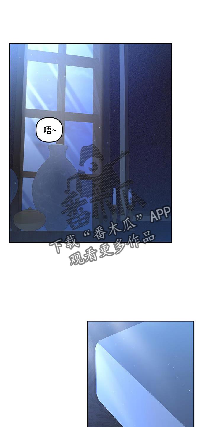 第48章：不一样的王0