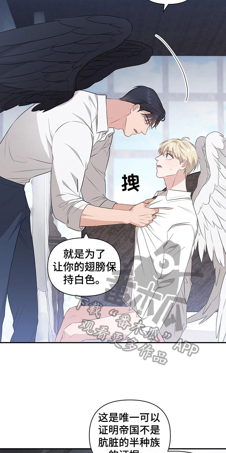 第31章：原计划9