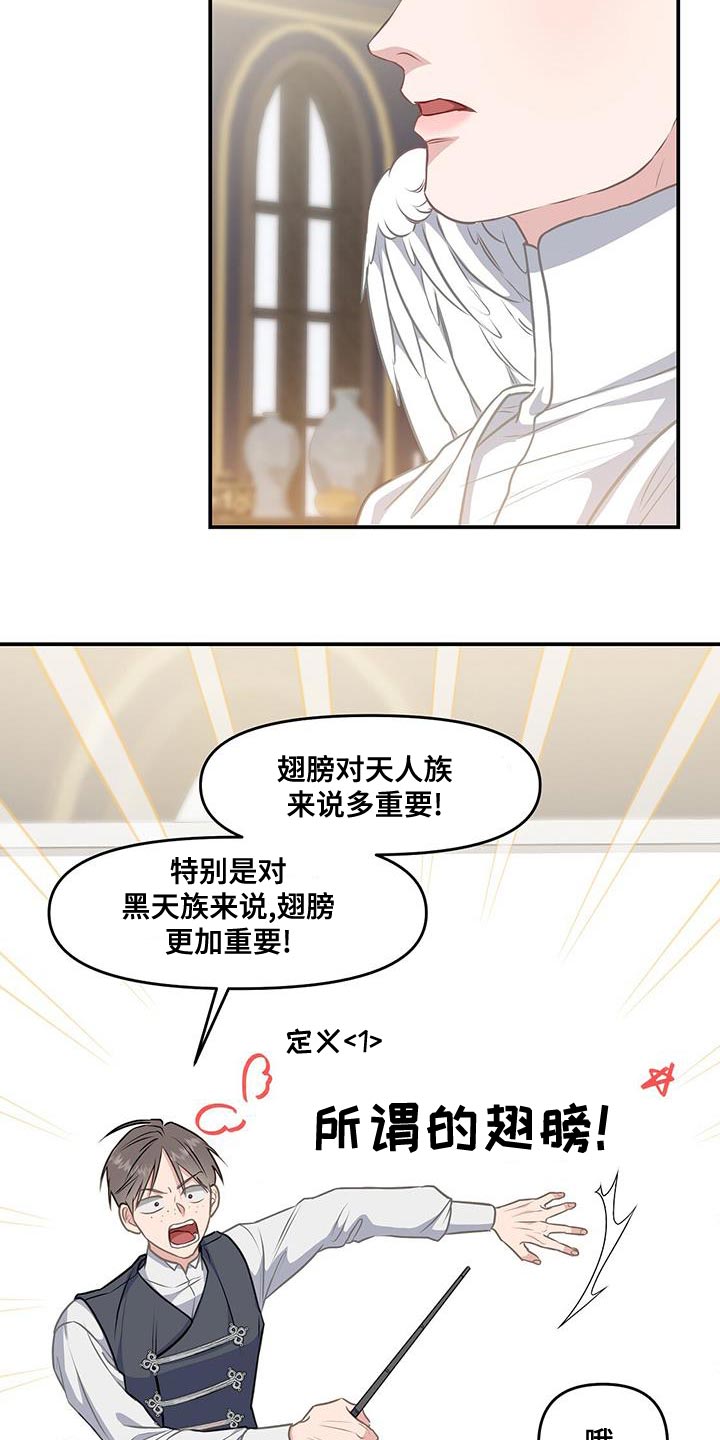 第50章：翅膀5