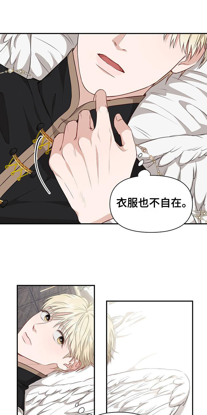 第19章：后果1