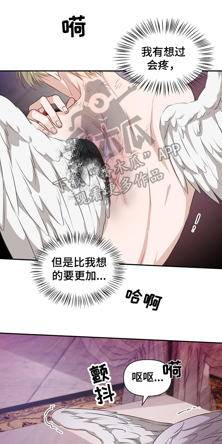 第28章：照顾0