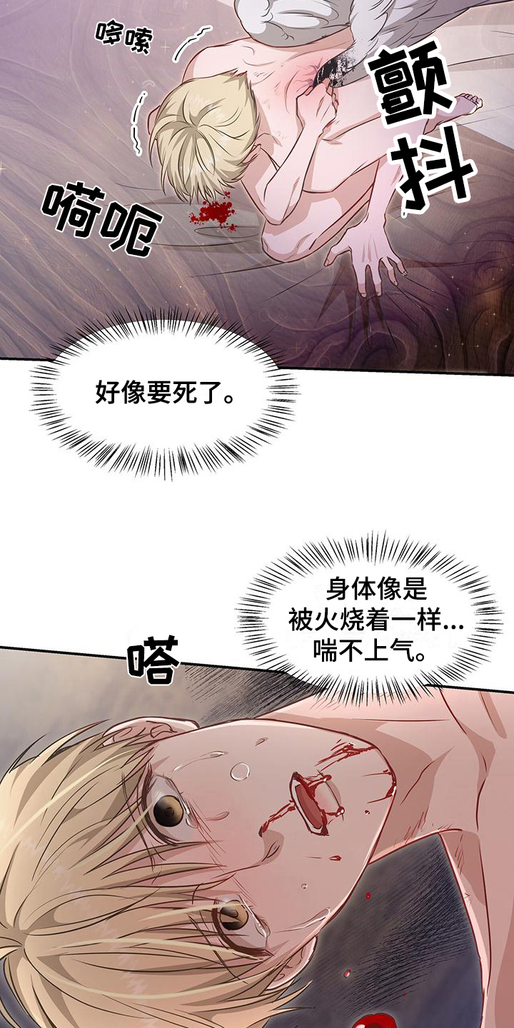 第28章：照顾1