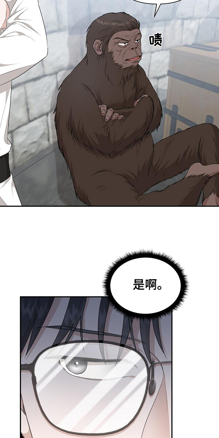 第16章：分析1
