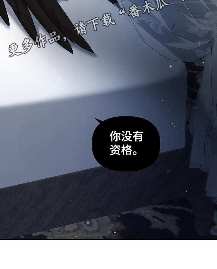 第25章：你没资格19