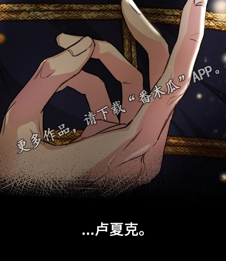 第7章：护卫15