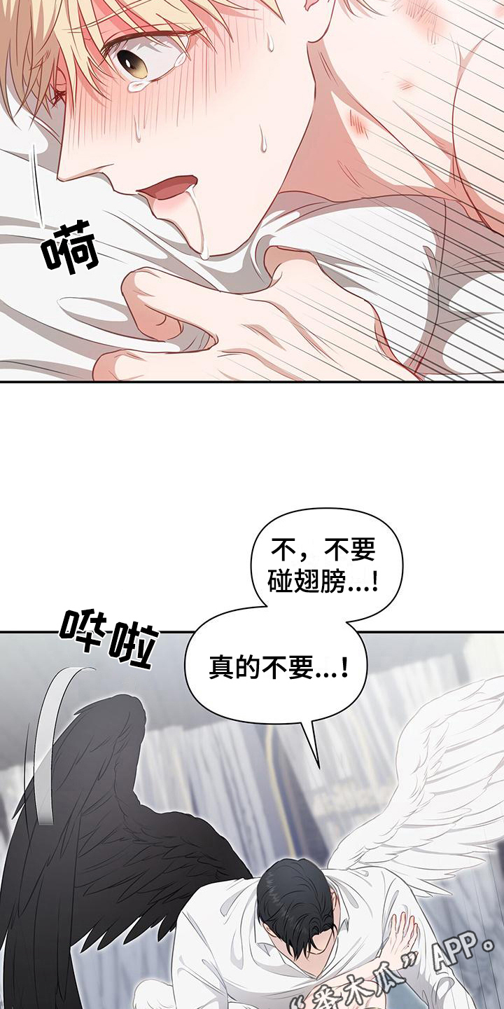 第24章：无耻18
