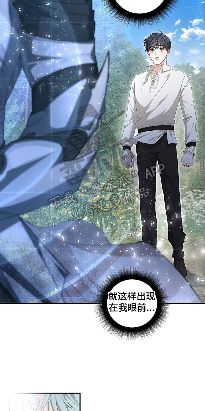第7章：护卫8