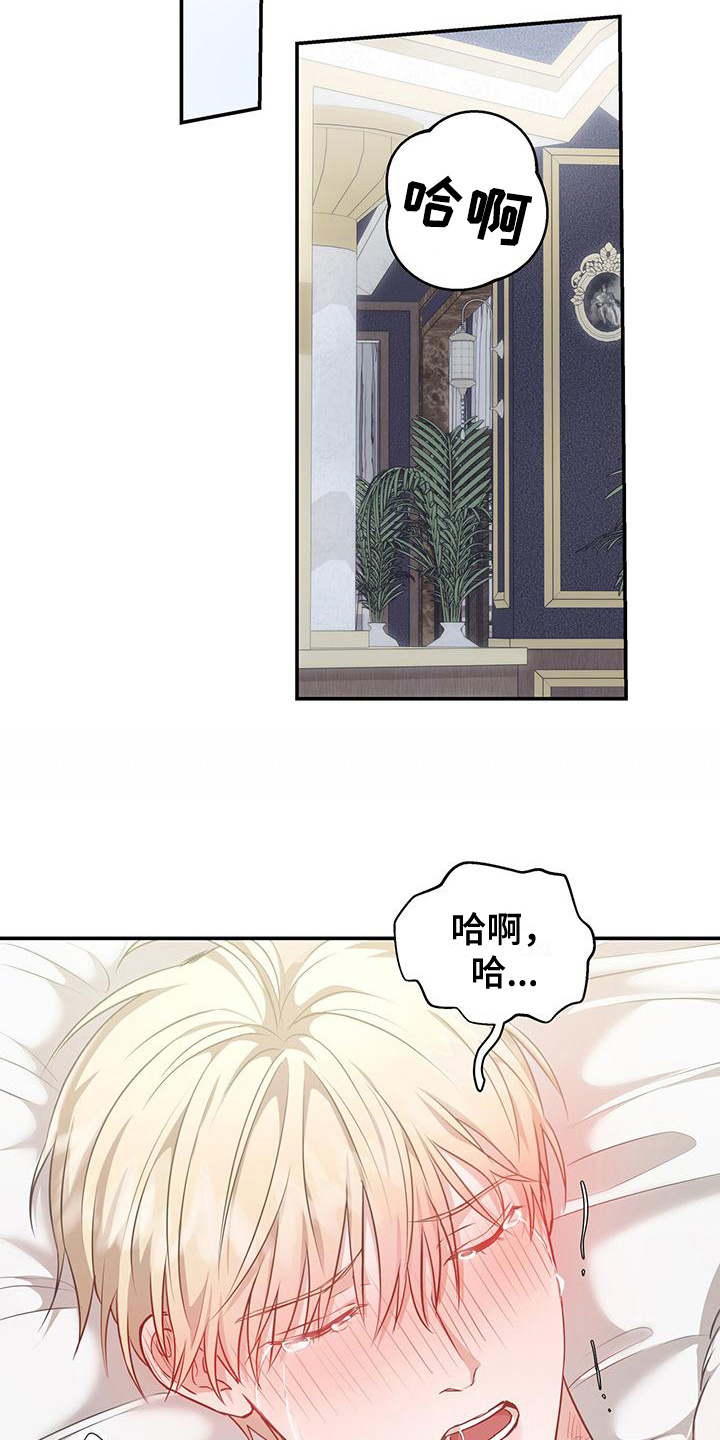 第25章：你没资格16