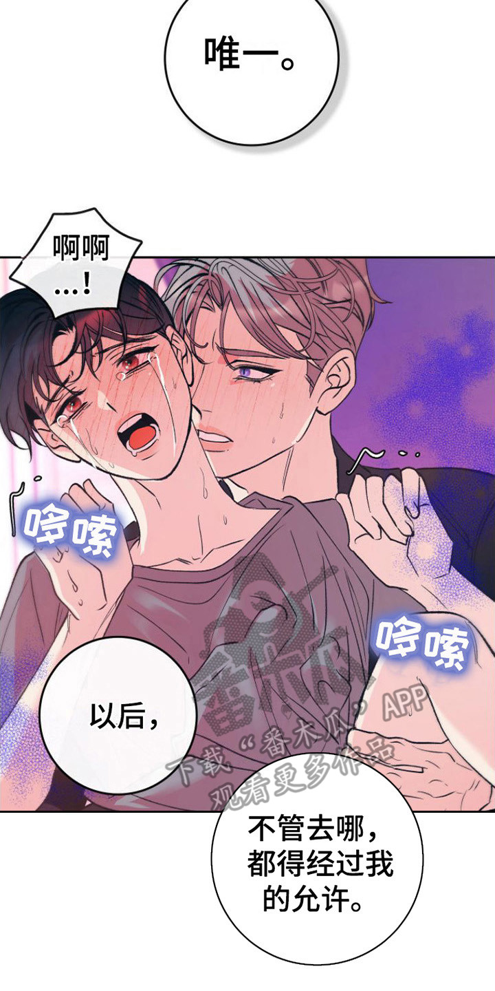 第18章：答复17