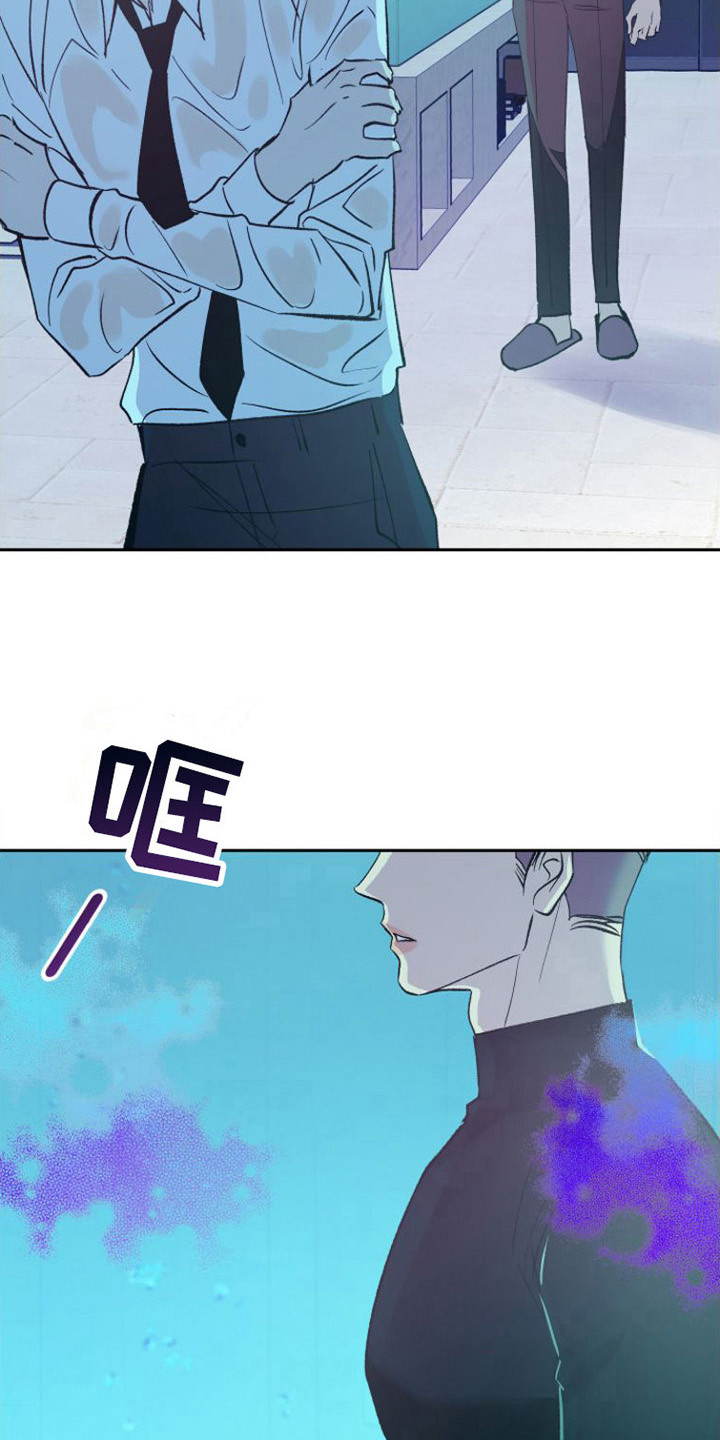 第3章：分化12