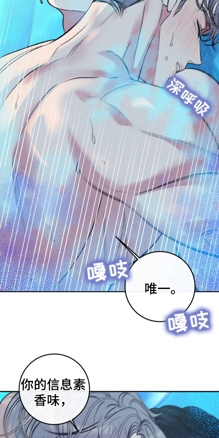第10章： 交给我9