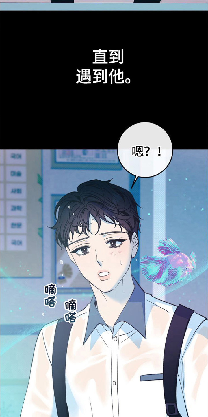 第20章：极优阿尔法17