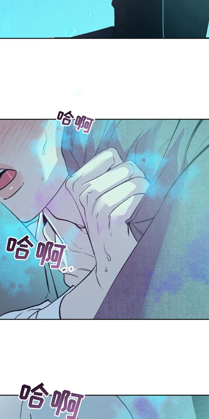 第3章：分化13
