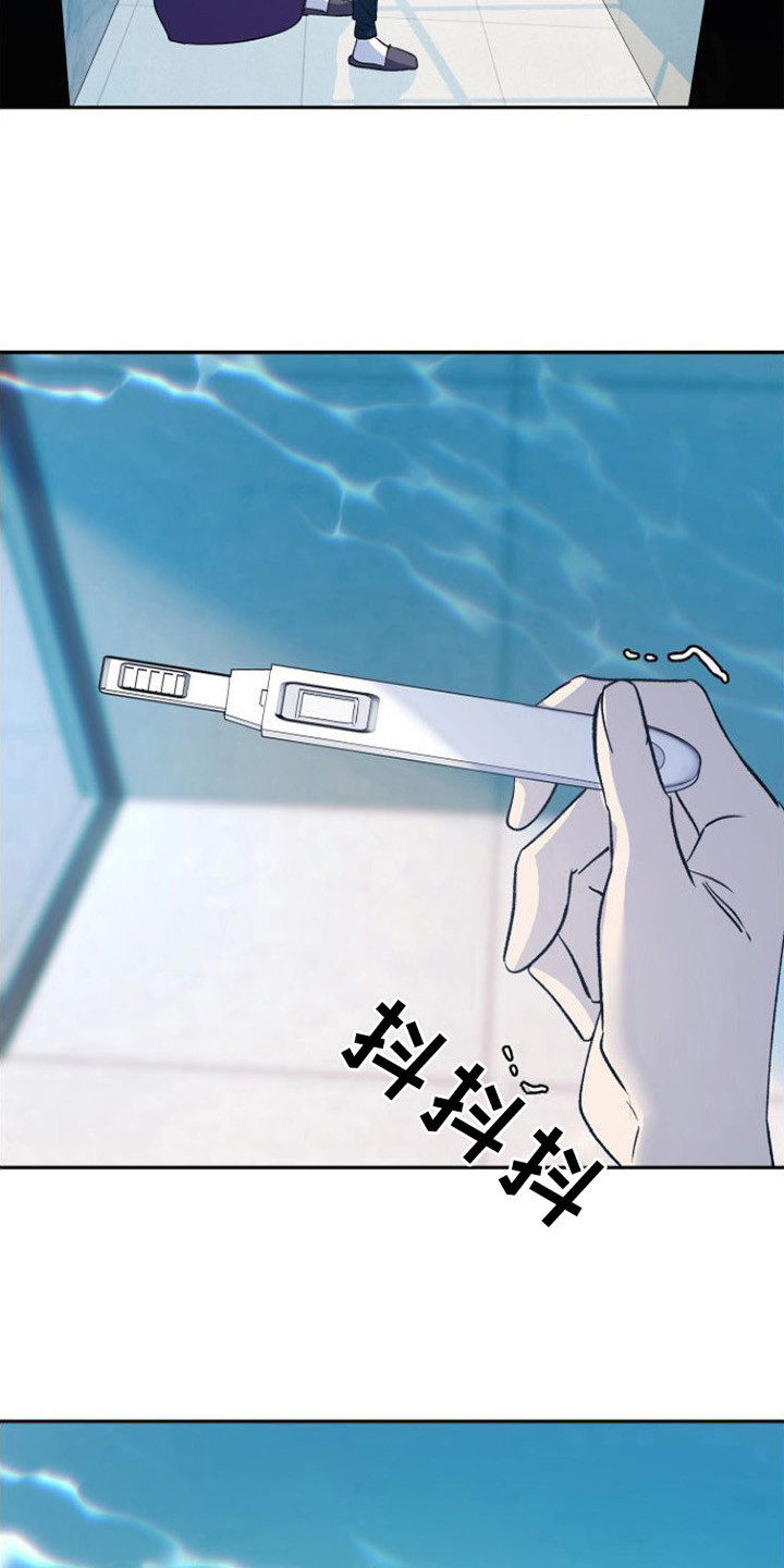 第15章：怀孕了 5