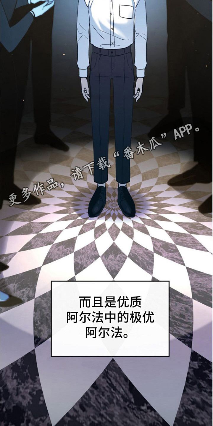 第20章：极优阿尔法10