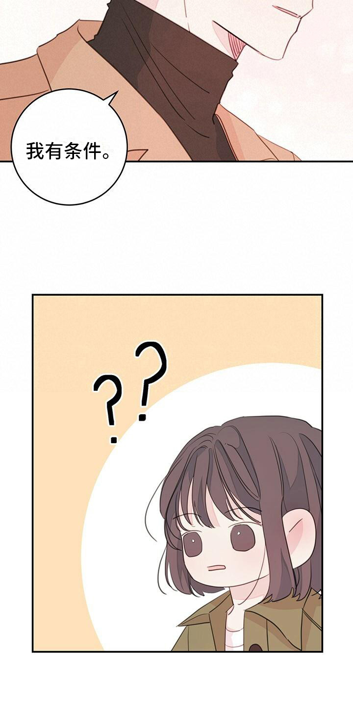 第16章：条件8