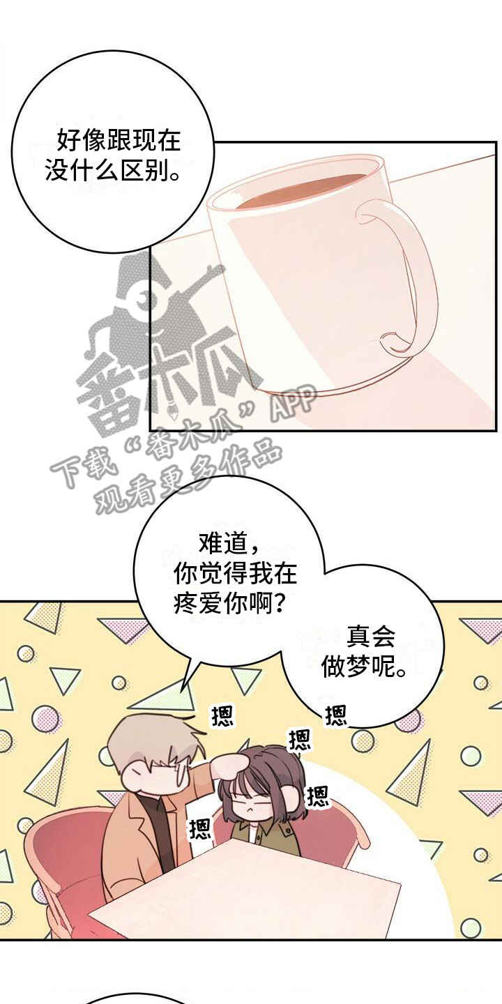 第16章：条件13