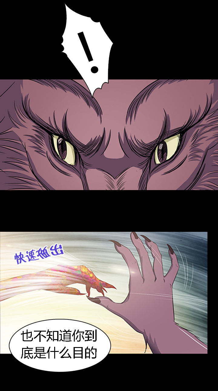 第17章：13