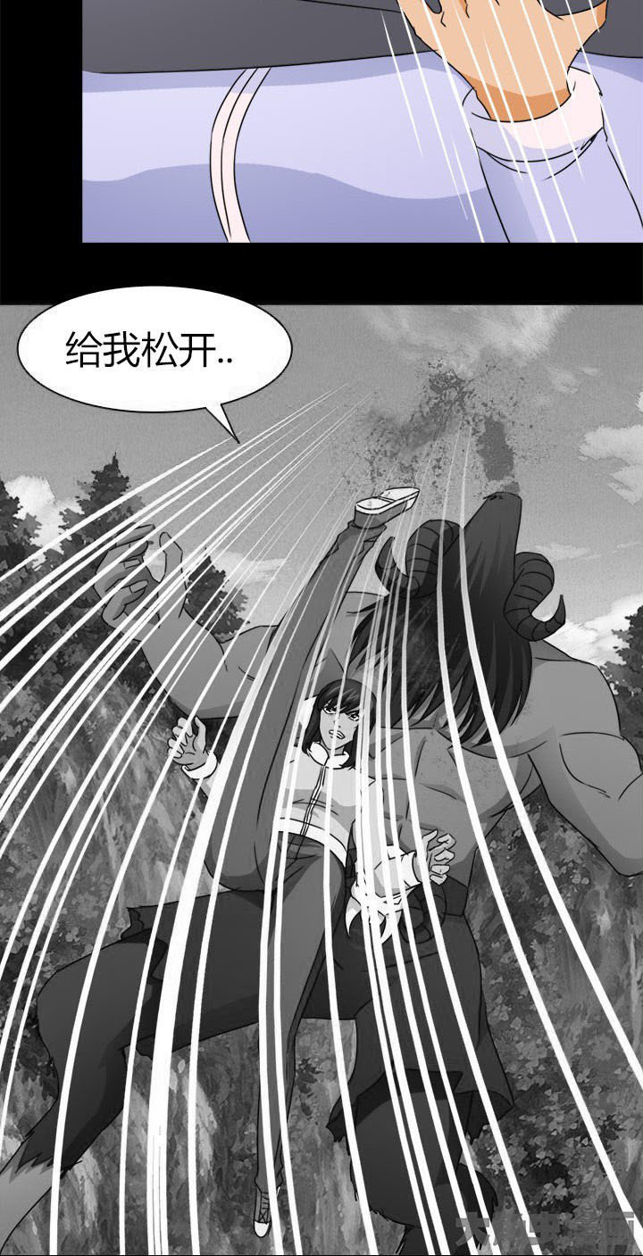 第81章：洪飞之死 1