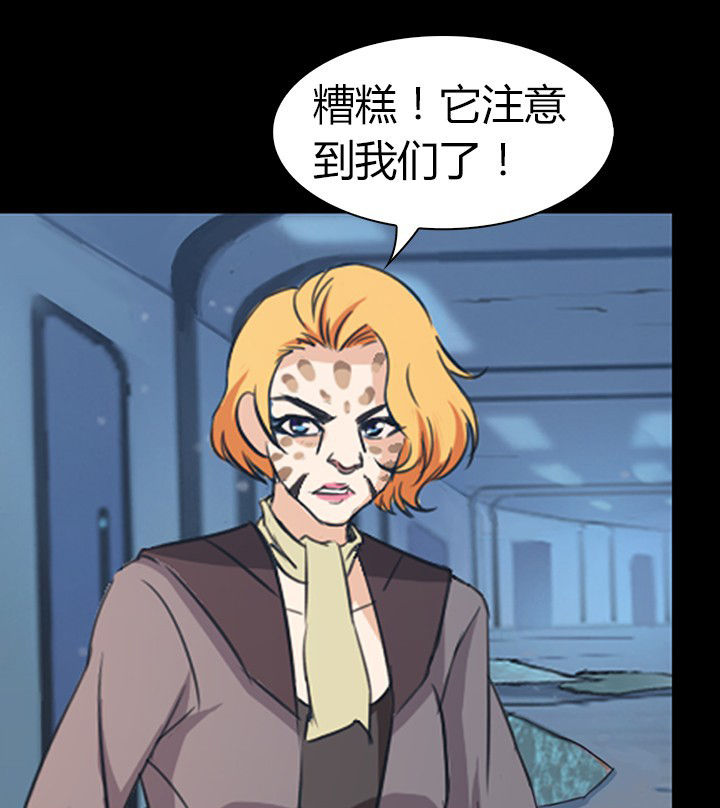 第51章：34