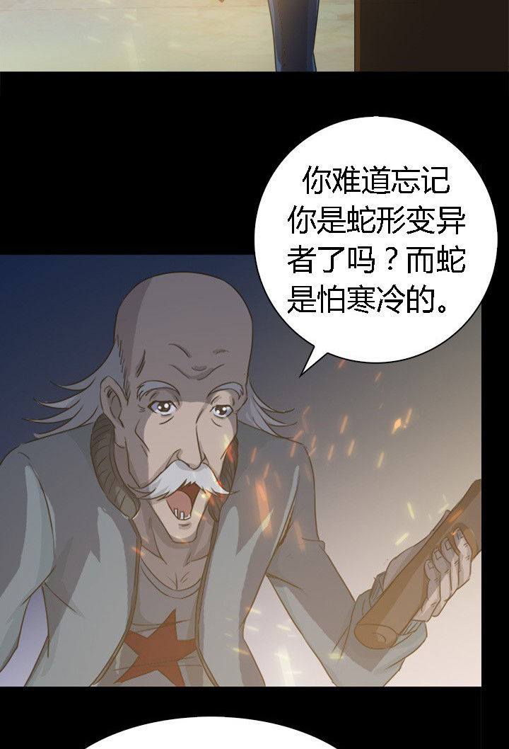 第60章：神奇的自然规律23