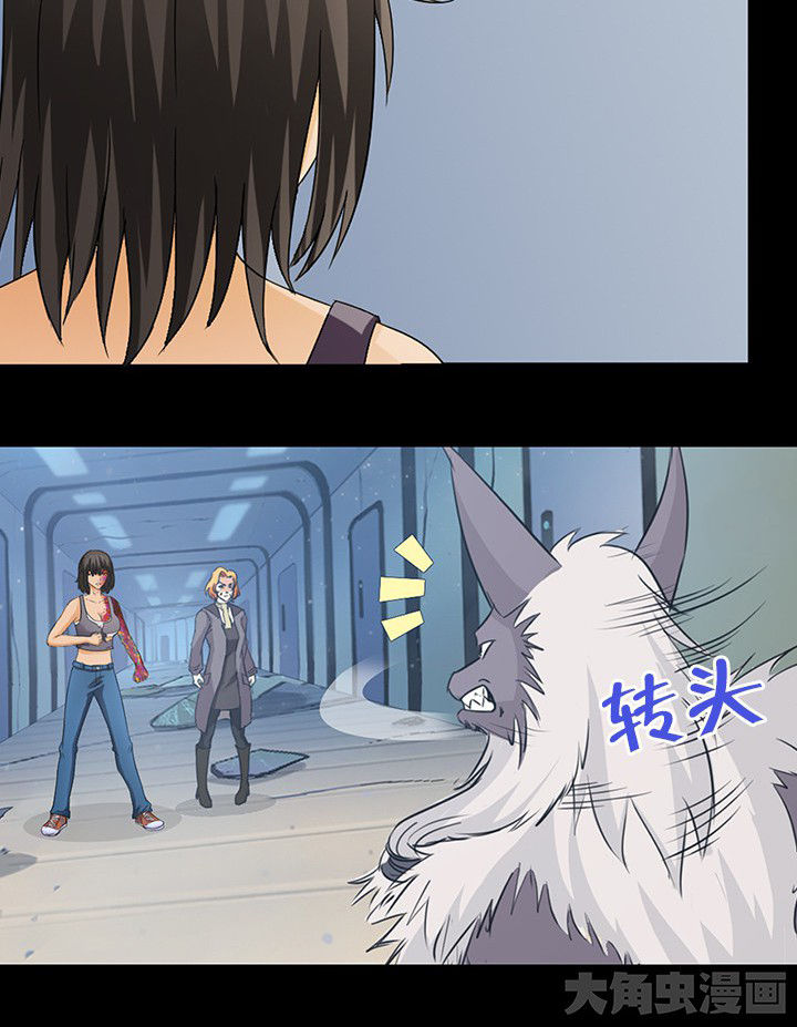 第51章：33