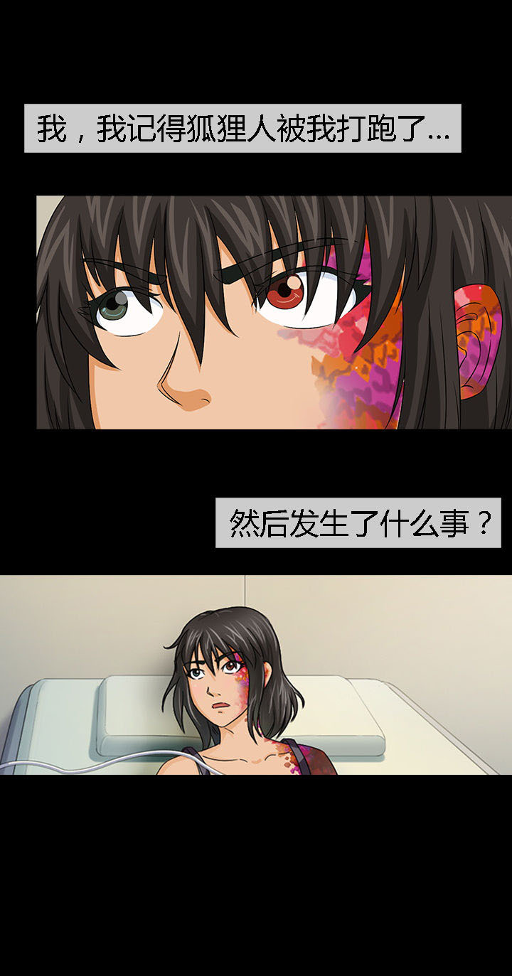 第29章：3