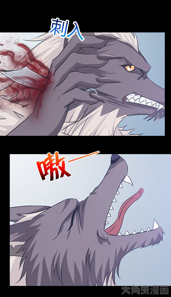 第52章：3