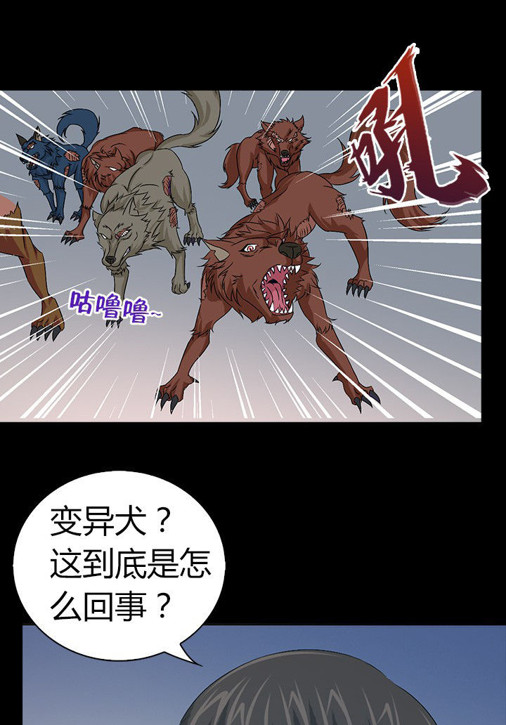第52章：28