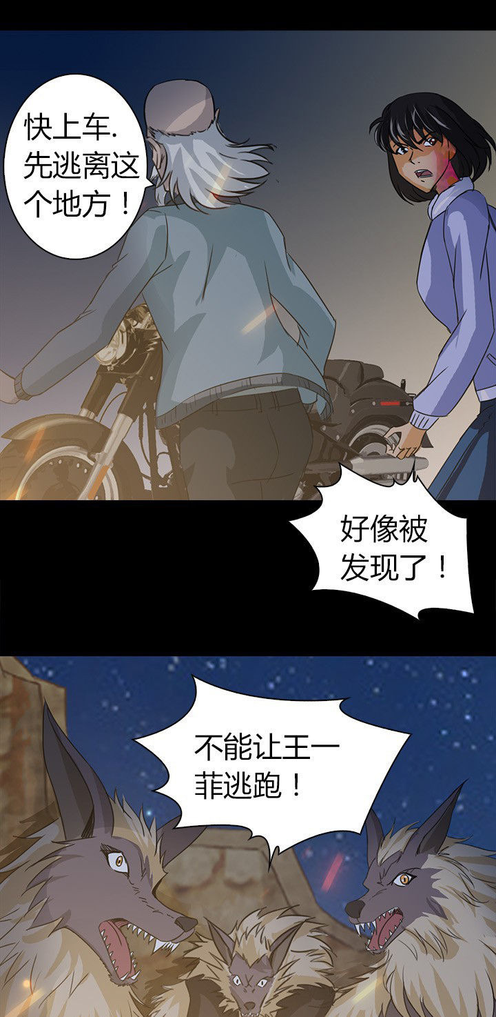 第62章：死里逃生19