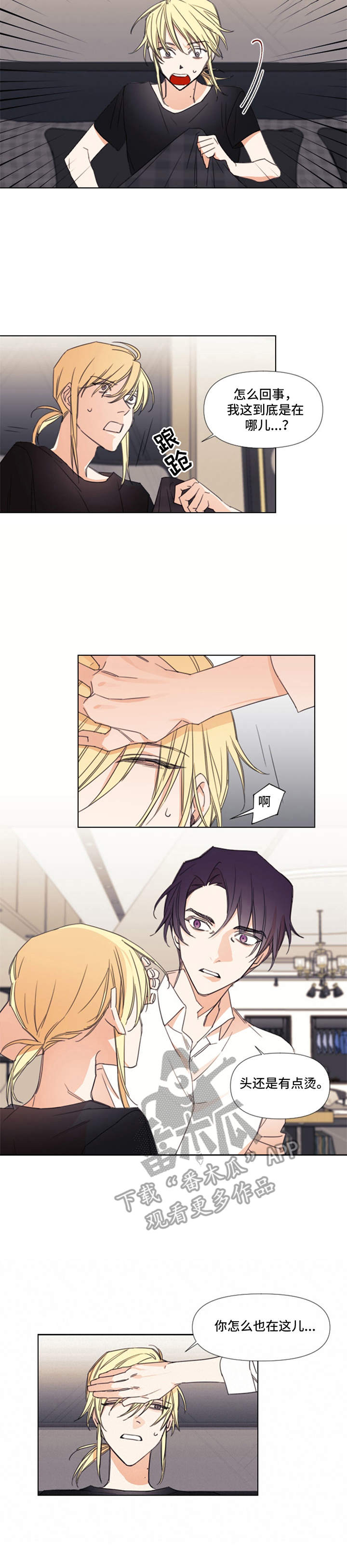第4章：带回家9