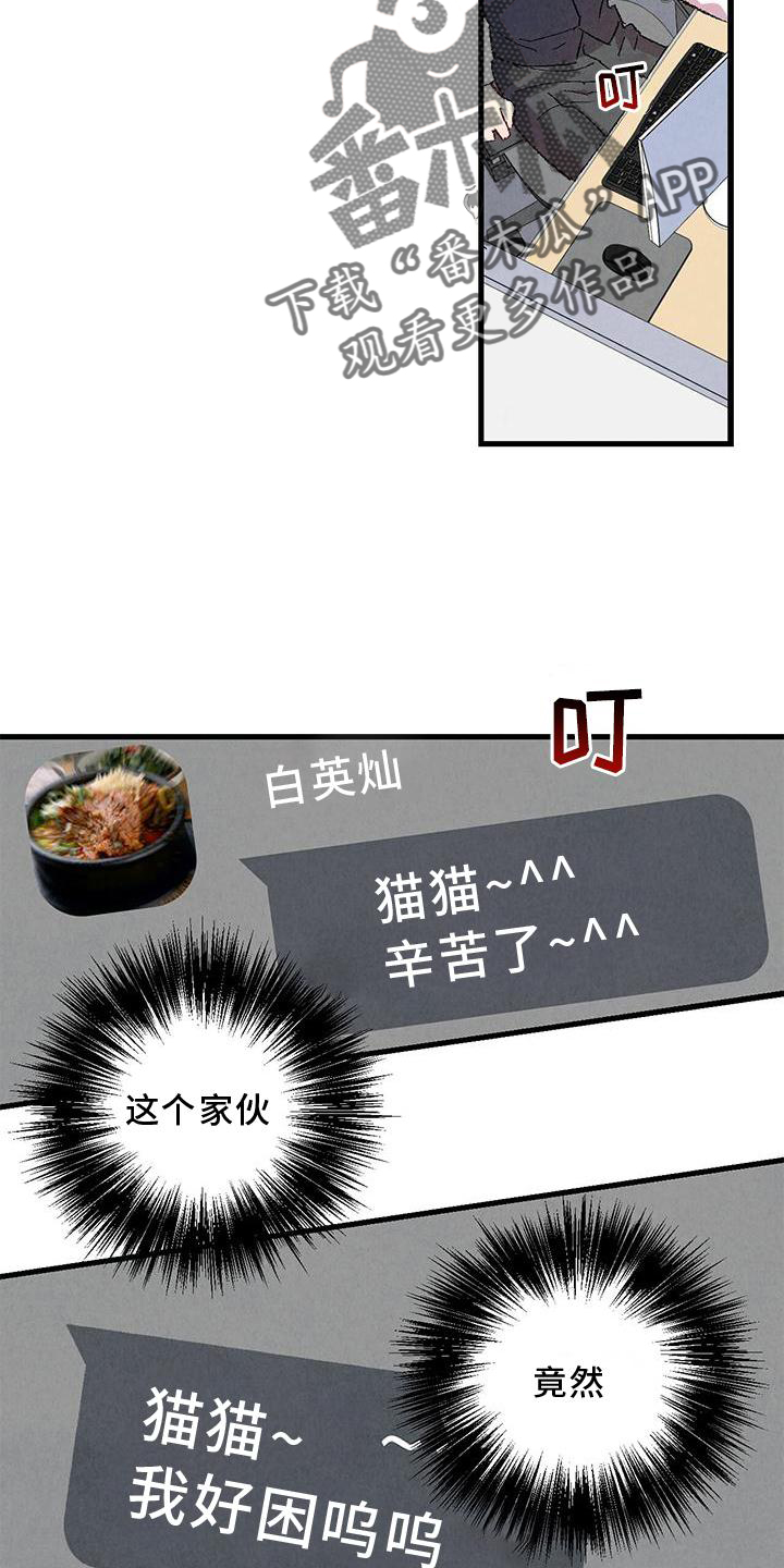 第114章：【第二季】猫猫24