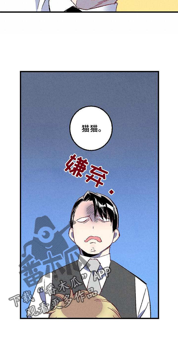 第114章：【第二季】猫猫22