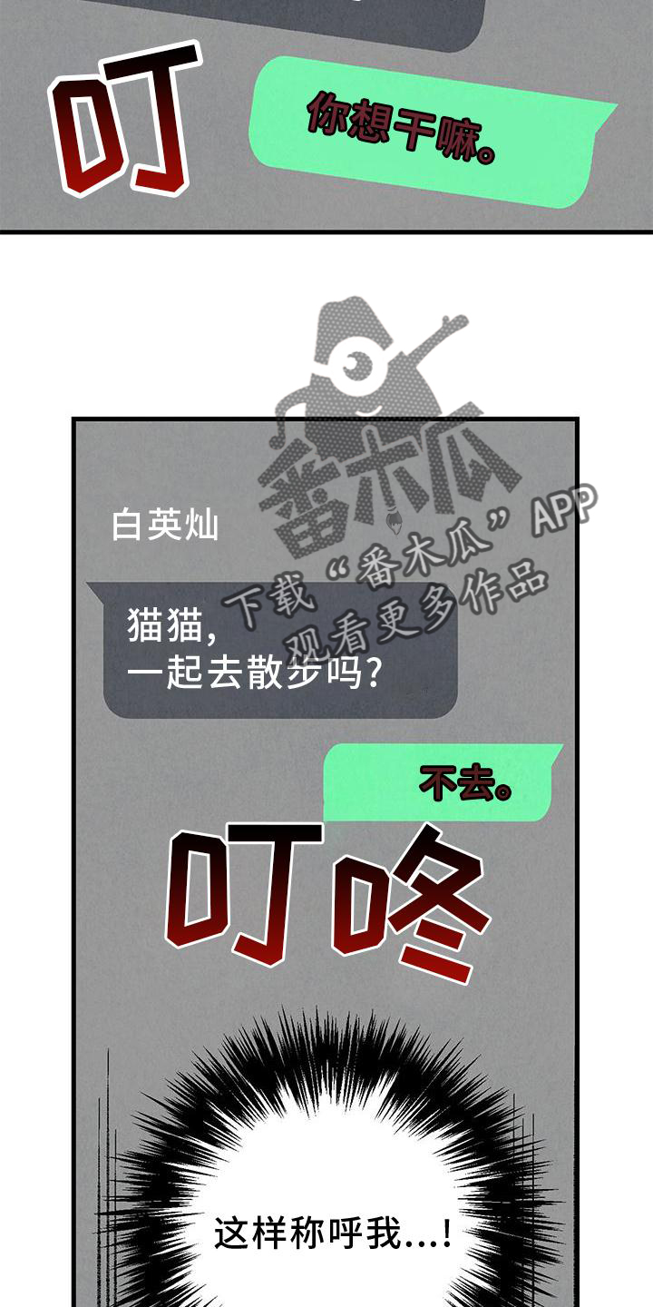 第114章：【第二季】猫猫25