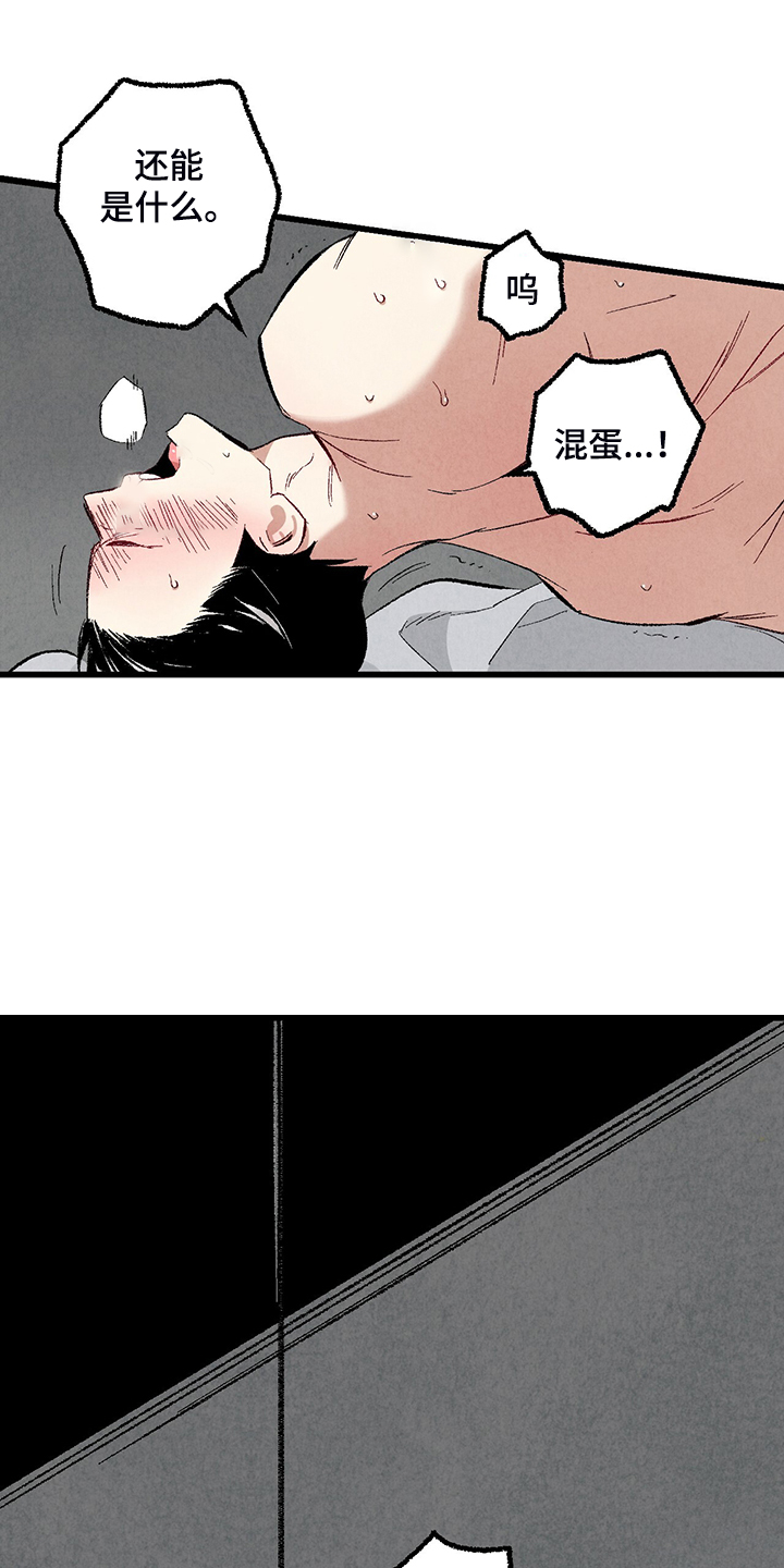 第76章：【第二季】像受伤的猫18