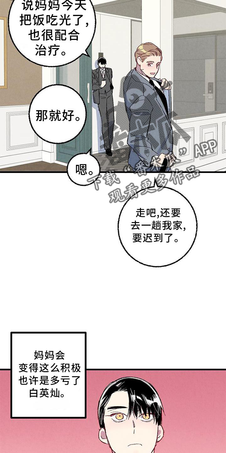 第114章：【第二季】猫猫1