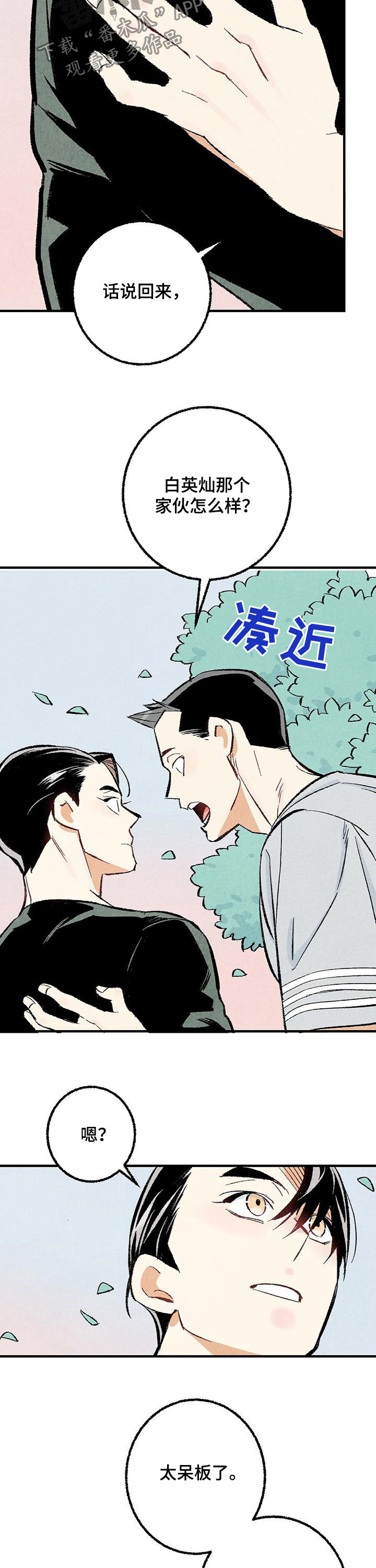 第29章：你又不是2