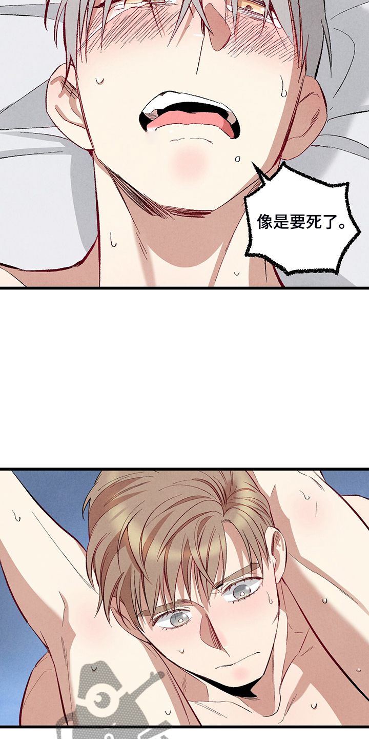 第76章：【第二季】像受伤的猫9