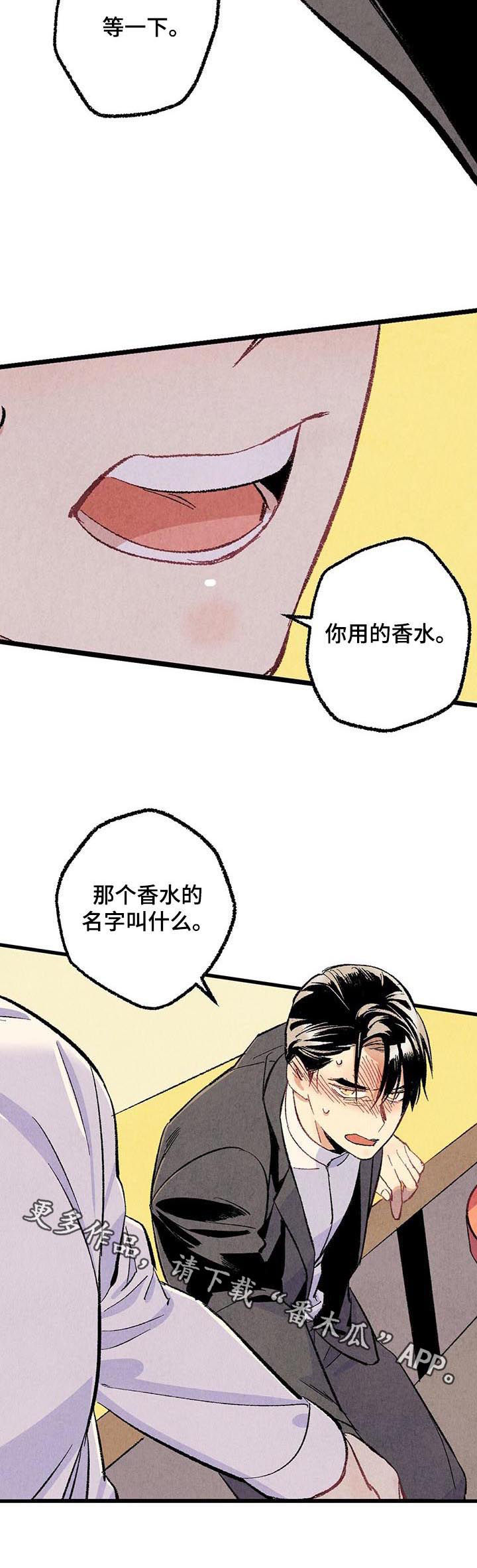 第53章：香水12