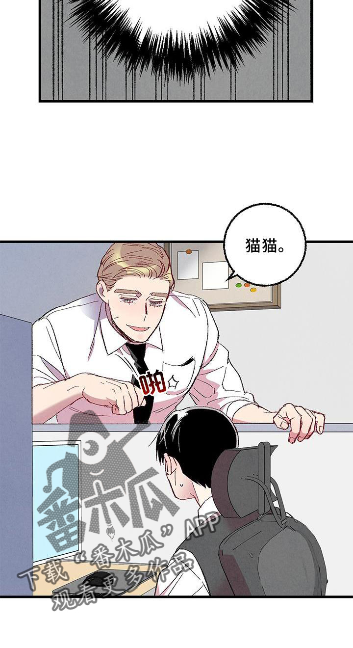 第114章：【第二季】猫猫26