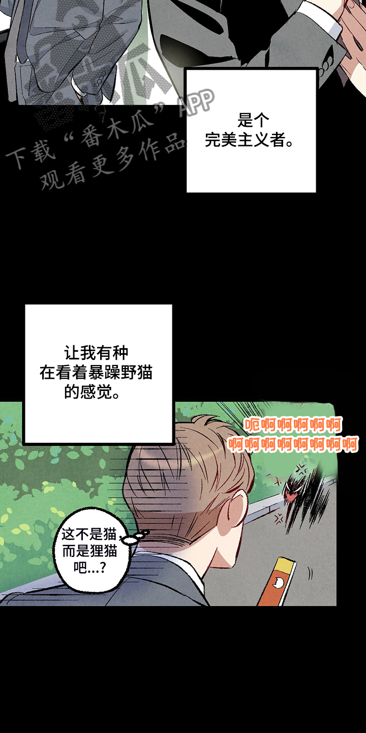 第76章：【第二季】像受伤的猫25