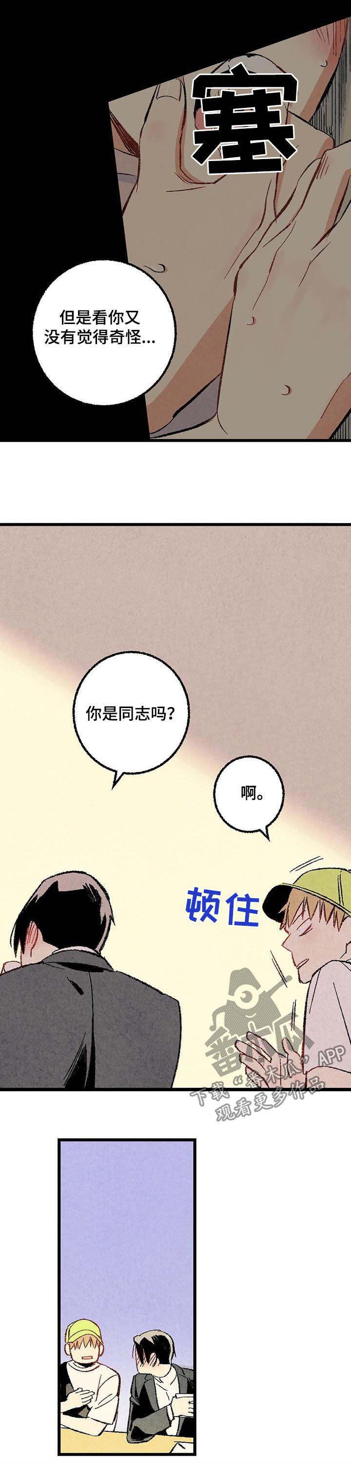 第51章：他是直的！7