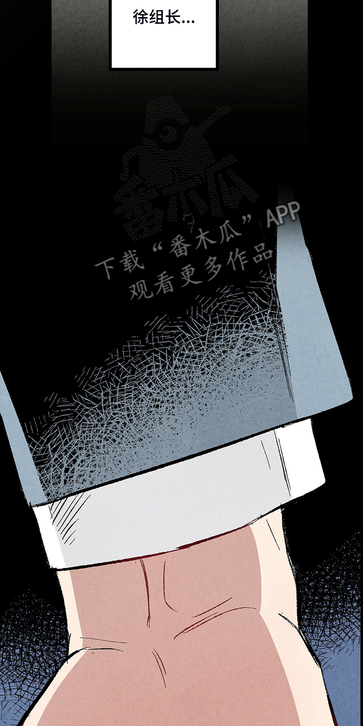 第81章：【第二季】不一般的病毒28