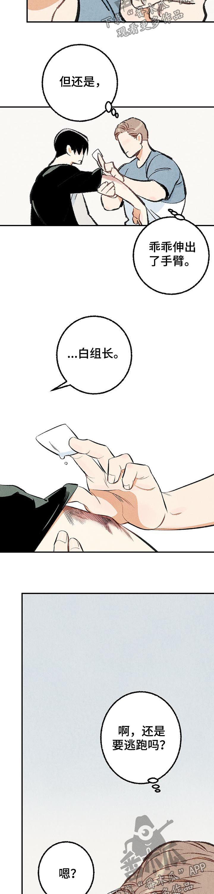第25章：擦药8