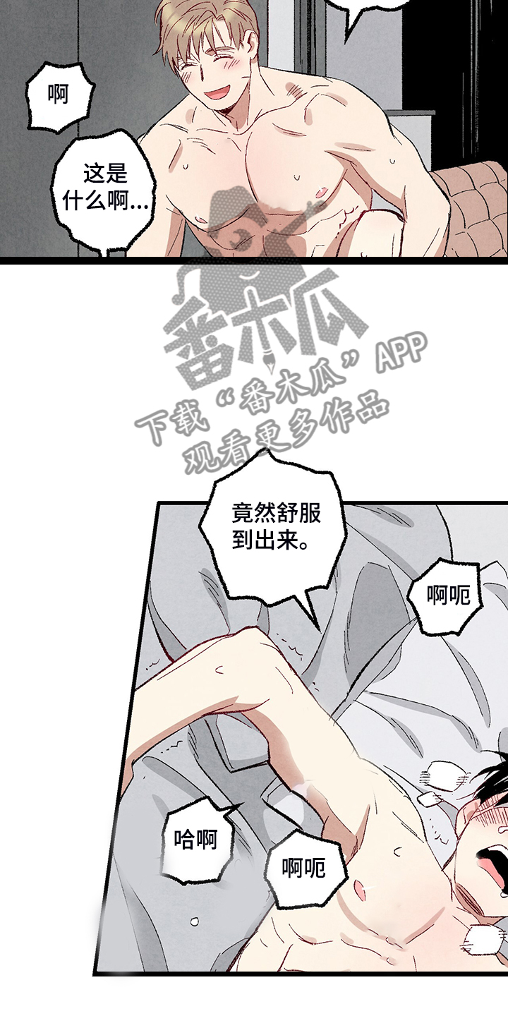 第76章：【第二季】像受伤的猫17