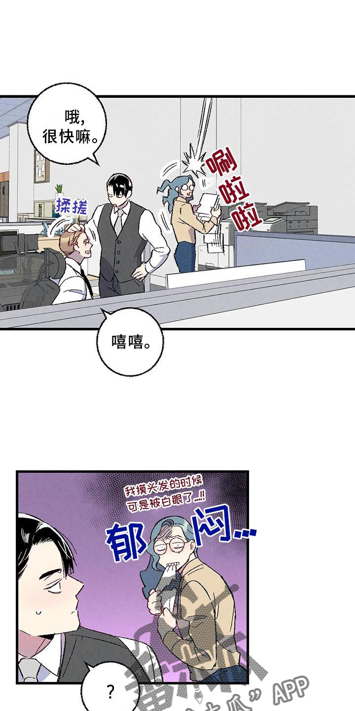 第114章：【第二季】猫猫19