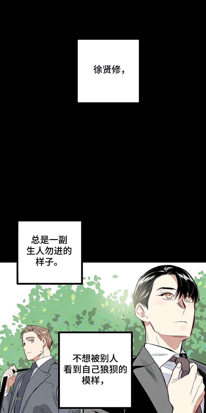 第76章：【第二季】像受伤的猫24