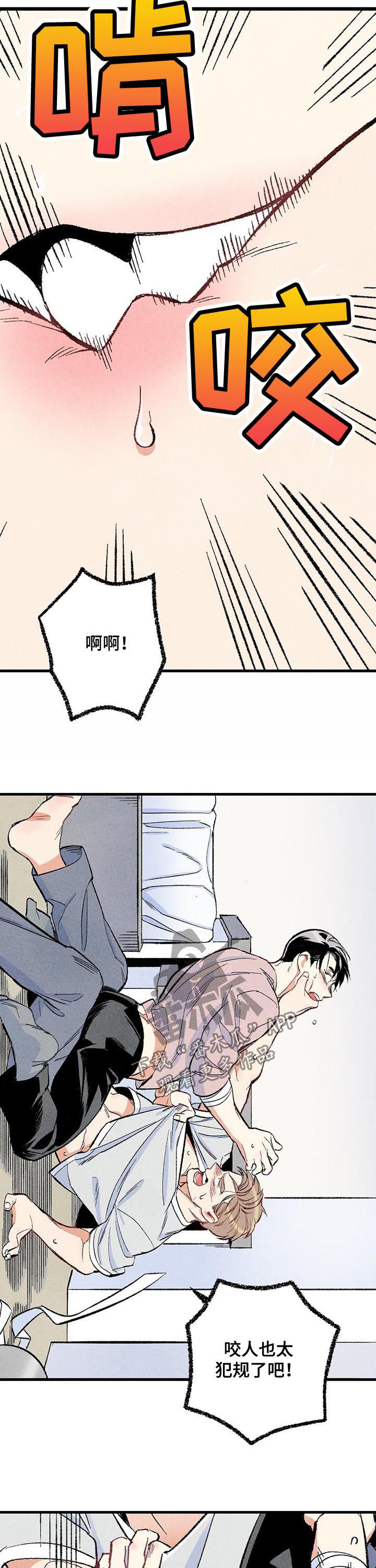 第46章：较量3