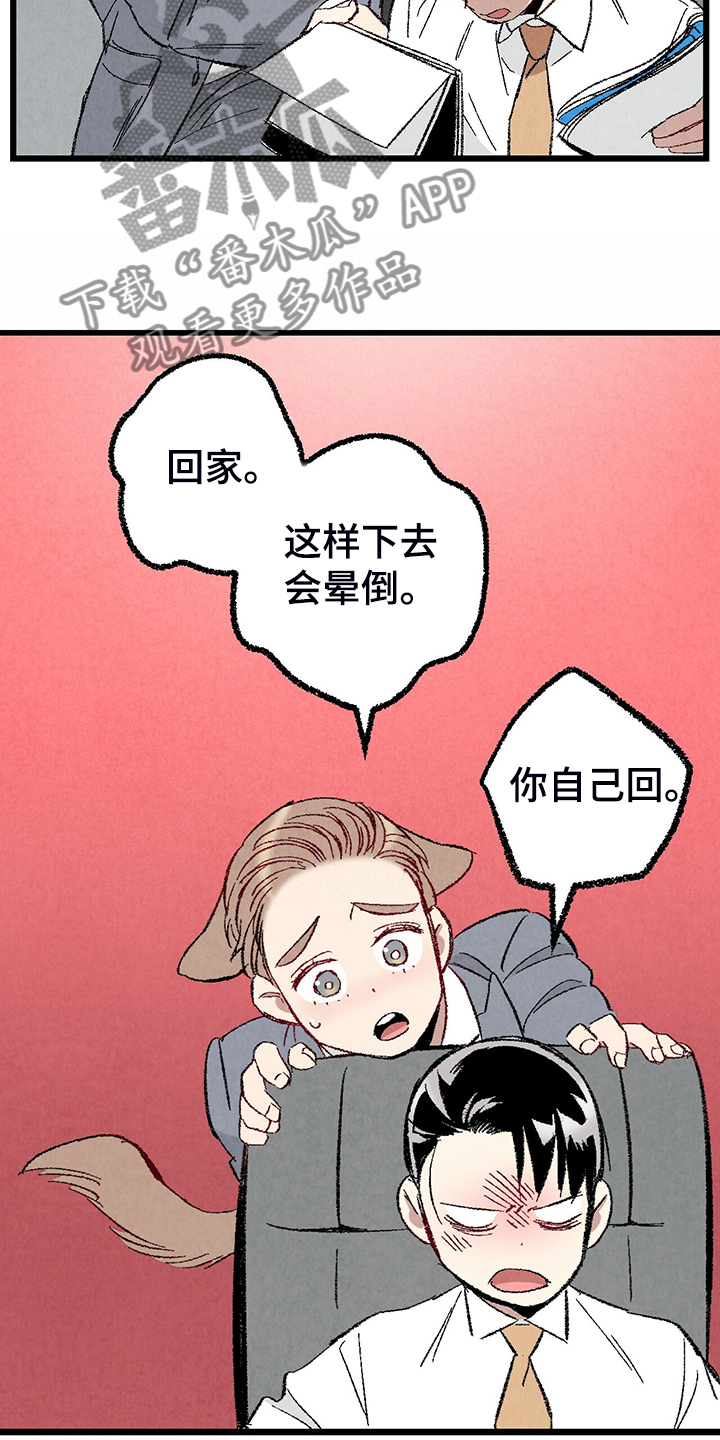 第80章：【第二季】查到了7